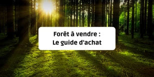 Forêt à vendre : le guide d'achat