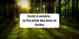Forêts à vendre : la fiscalité des bois et forêts