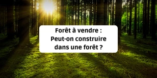 Forêt à vendre : Peut-on construire dans une forêt ?