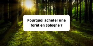 Pourquoi acheter une forêt en Sologne ?