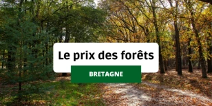 Le prix de vente des forêts en Bretagne