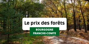 Le prix de vente des forêts en Bourgogne-Franche-Comté
