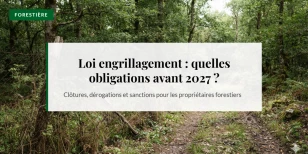 Loi engrillagement : ce que les propriétaires de forêts et de domaines de chasse doivent faire avant 2027