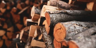 Bois de chauffage : choisir la bonne période de préparation