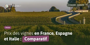 Prix des vignes en Europe : combien vaut un hectare de vignoble en France, en Espagne et en Italie ?