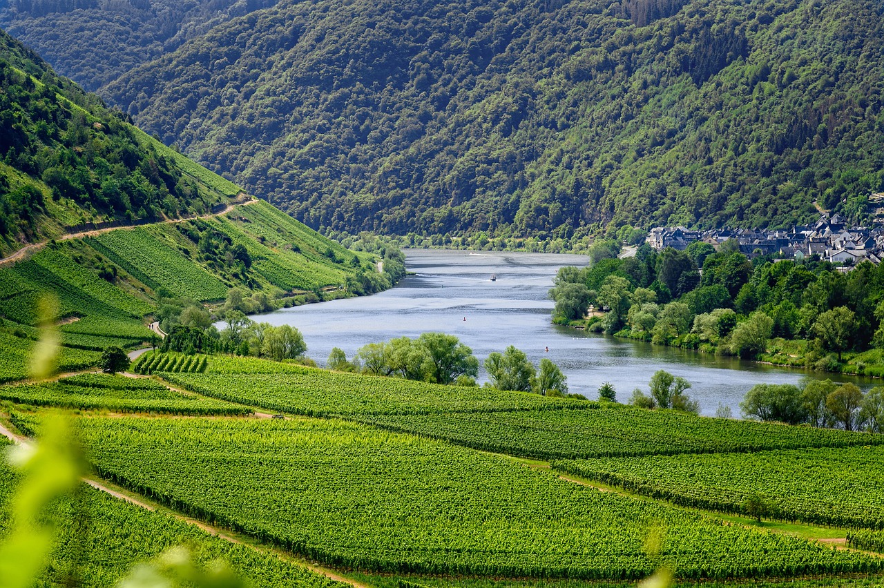 vignoble montagne eau