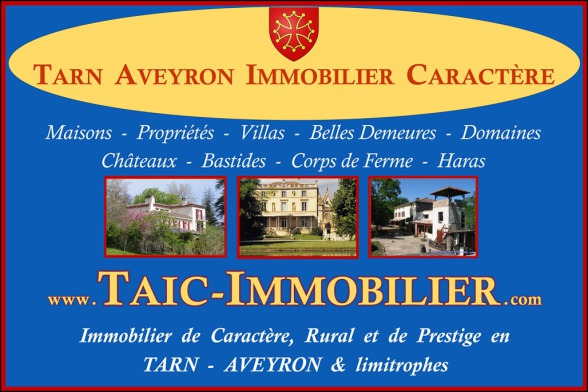 Logo Partenaire TAIC Immobilier