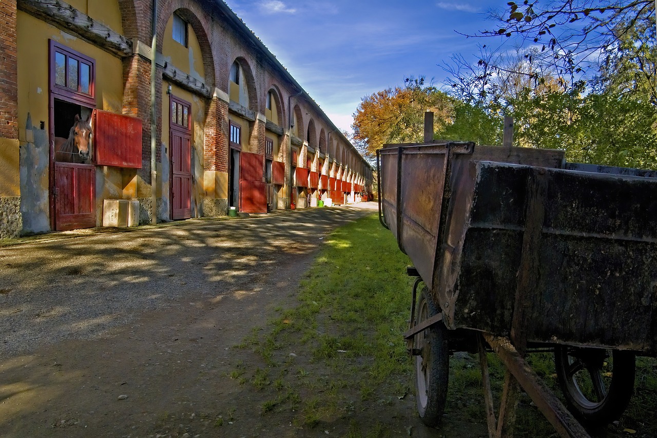 Centre équestre