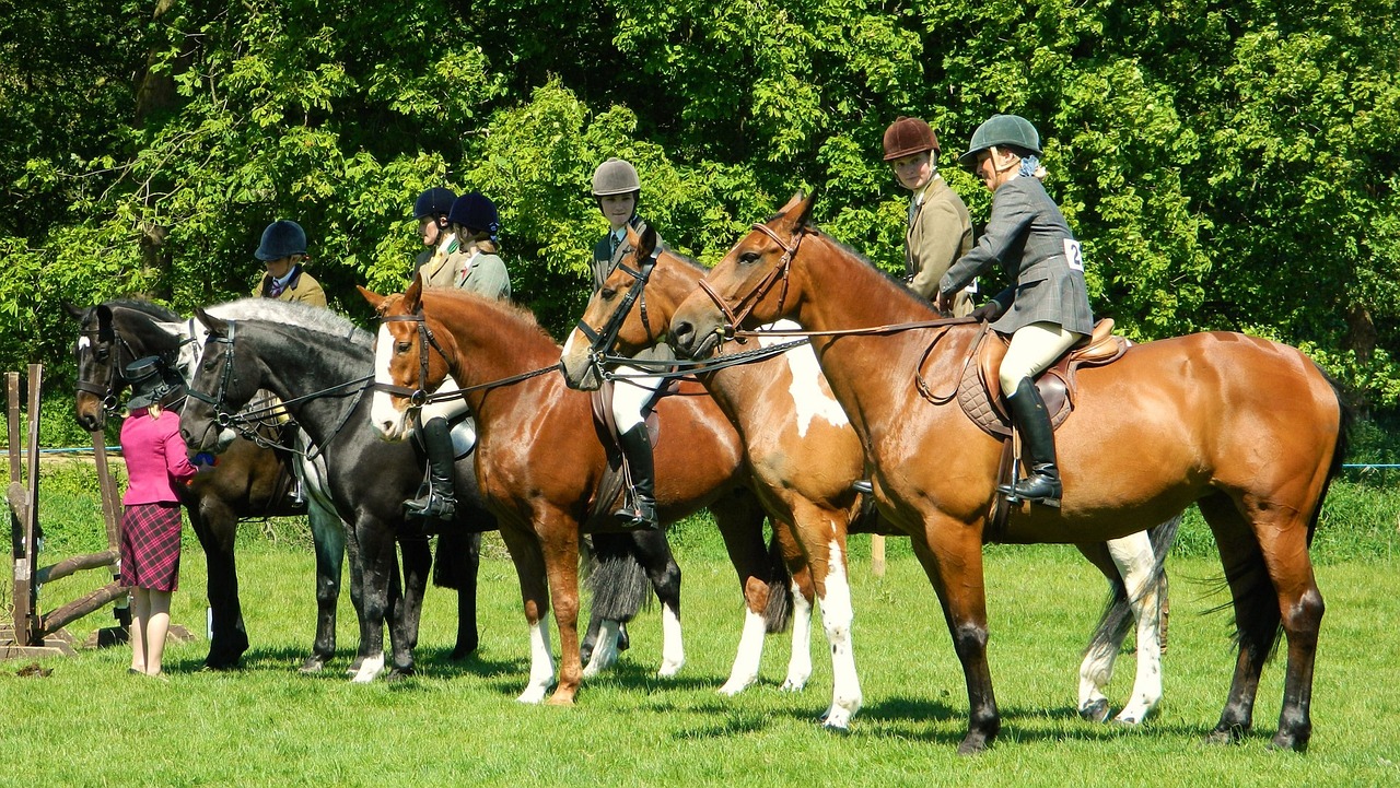 Groupe de chevaux avec des cavaliers