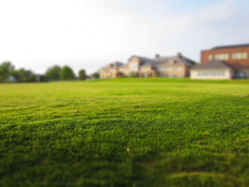 Analysis of a building plot before acquisition by a property developer