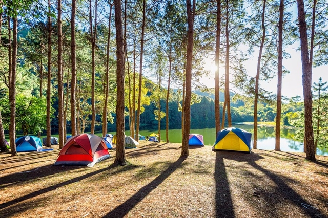 Terrain de camping