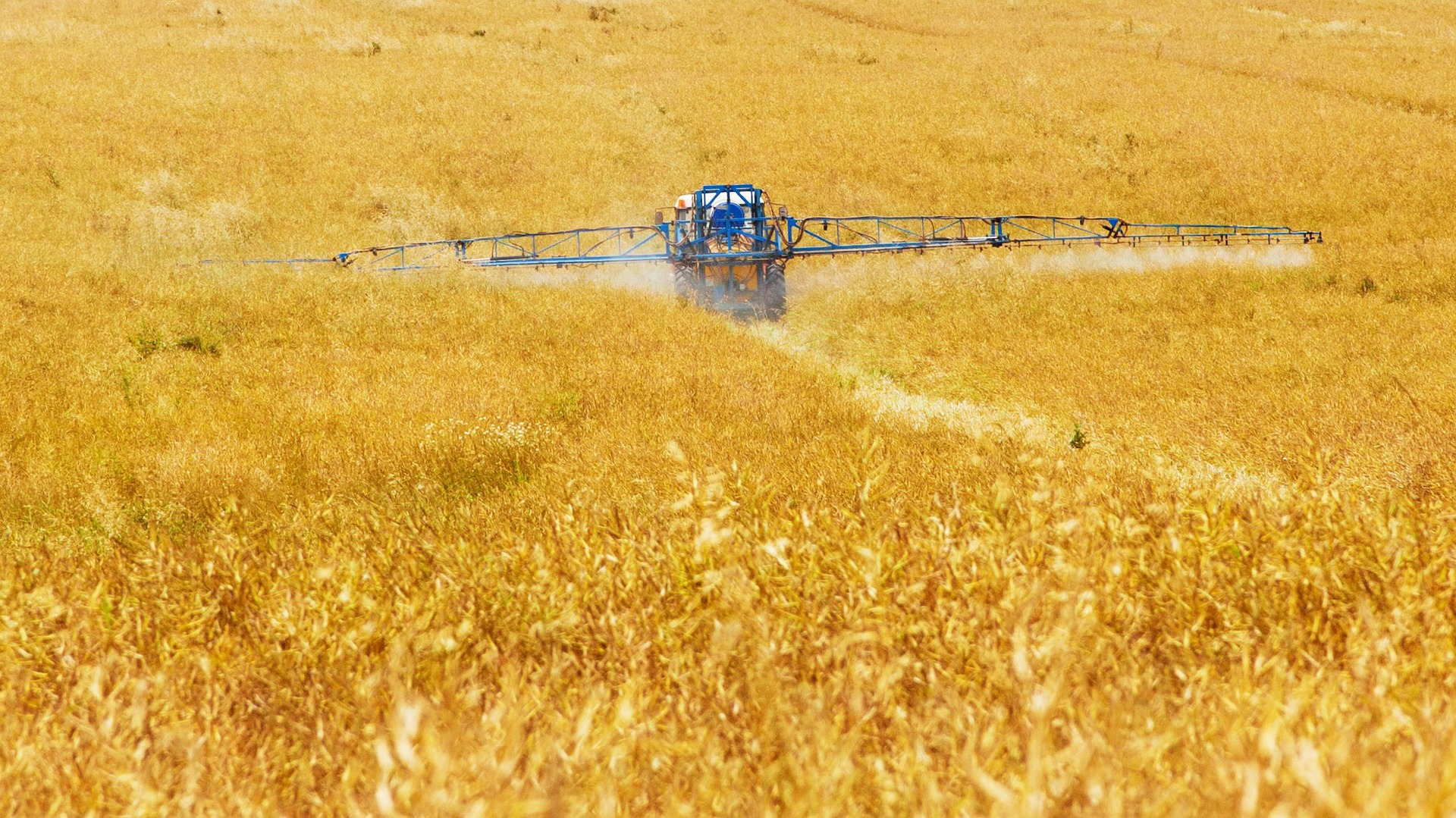 Tracteur blé champ agricole -  Image par PublicDomainsPicture de Pixabay