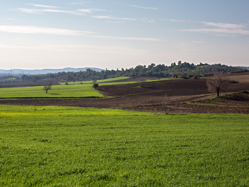 champ-agricole