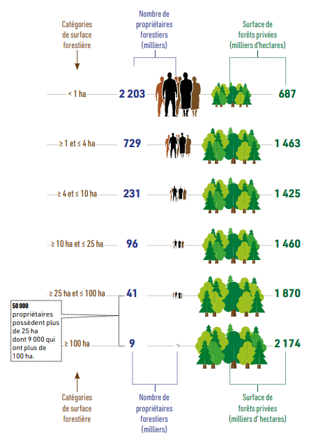 Qui sont les propriétaires forestiers privés ?