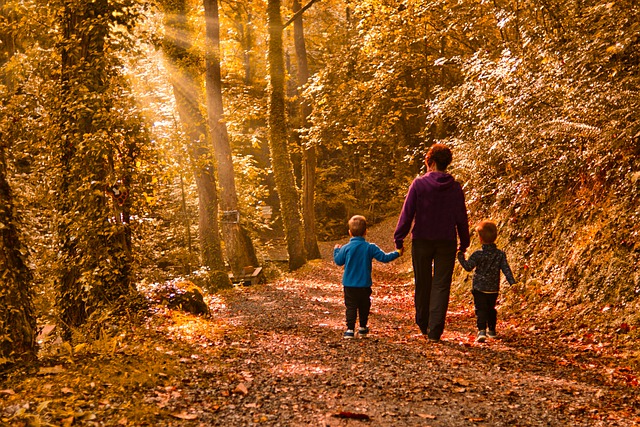 promenade famille en forêt