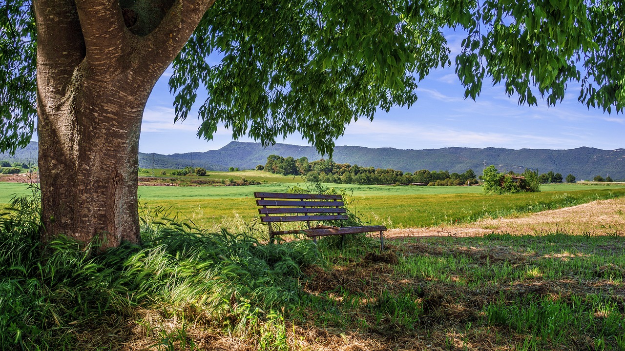 Paysage avec un banc