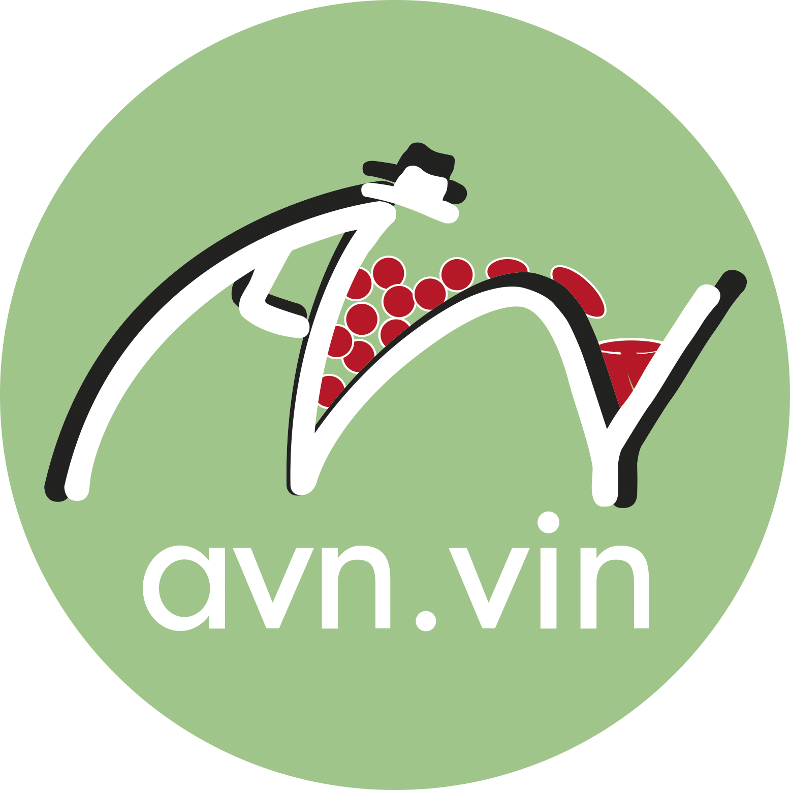 logo viticulture vin avi