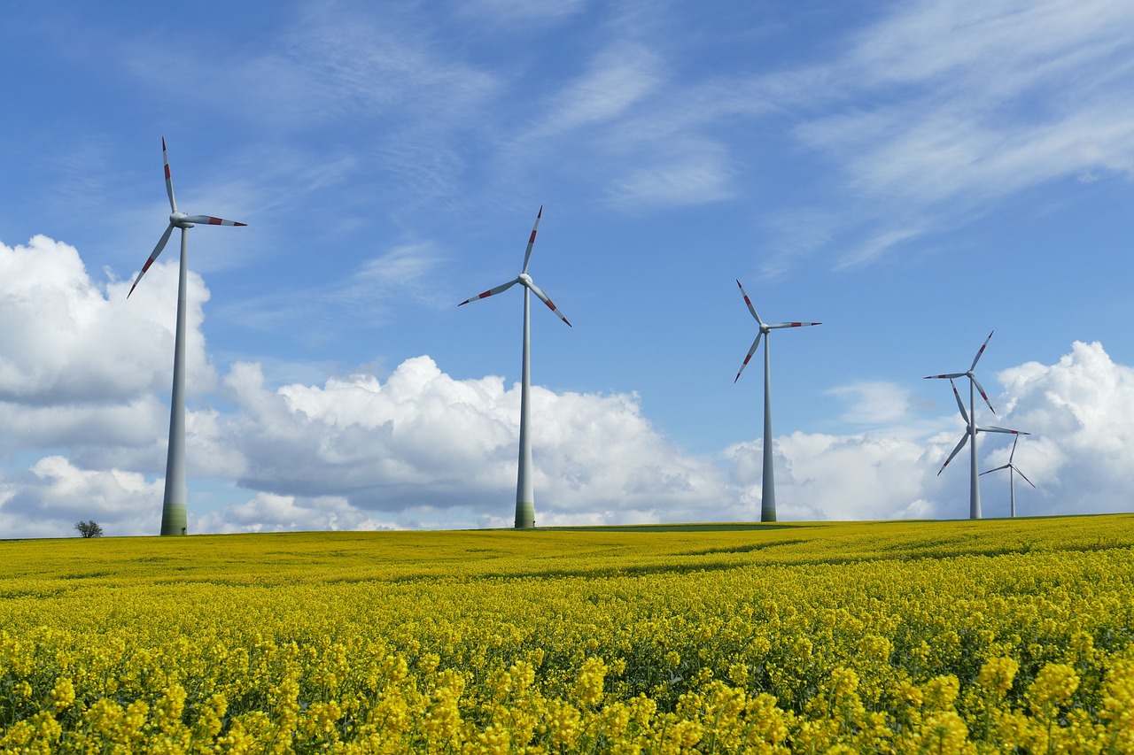 Champ éolienne