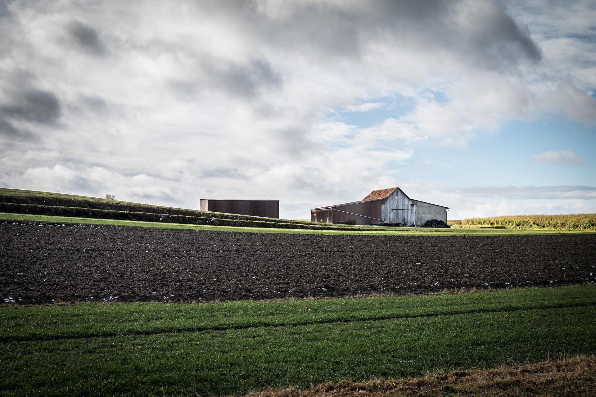 hangar stockage bâtiment agricole