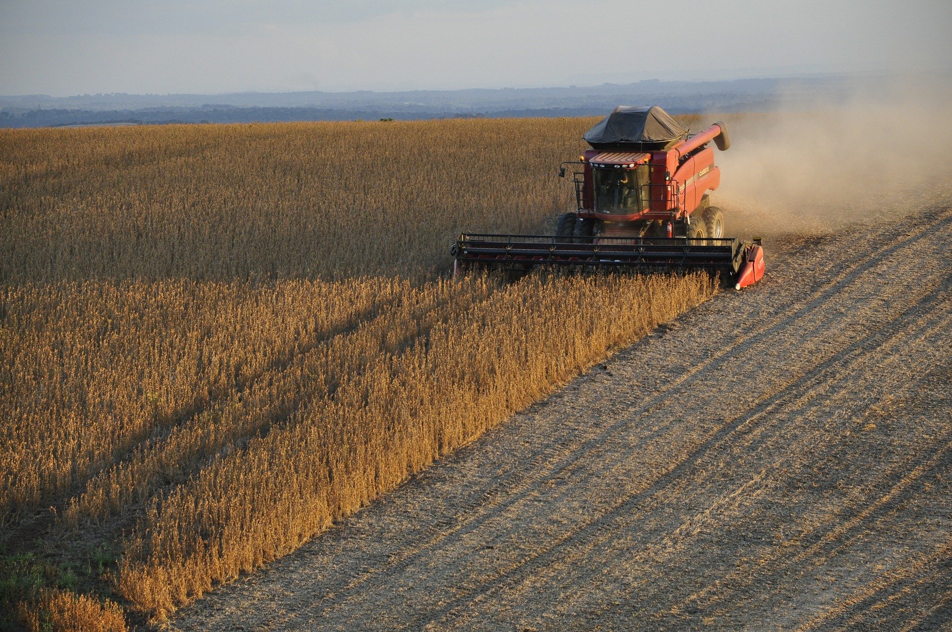 recolte moisson agricole