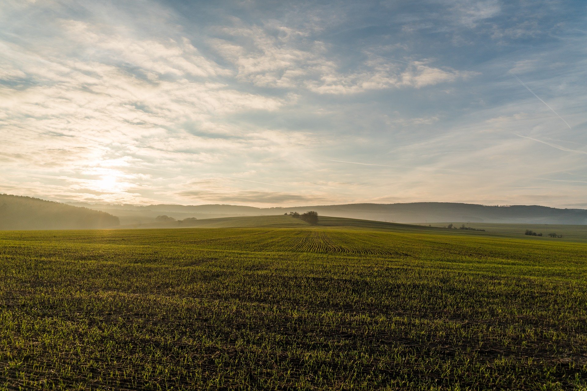 Champ avec coucher de soleil