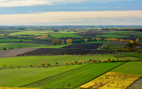 Prix des terres agricoles : champs cultivés en France