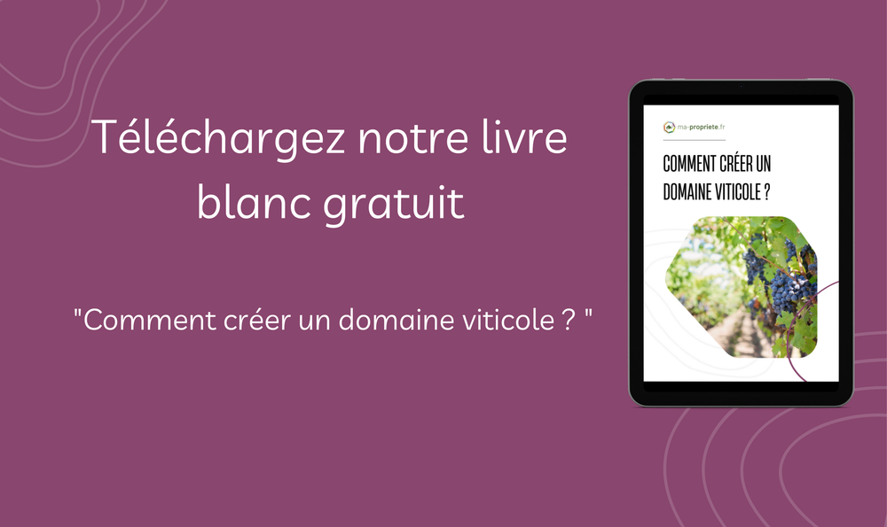 Livre blanc : "comment créer un domaine viticole ?"