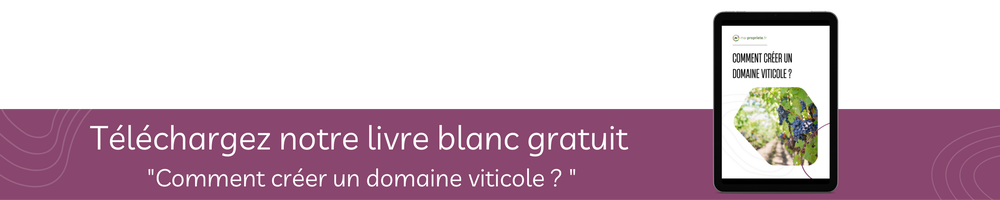 Bannière livre blanc : comment créer un domaine viticole ? 