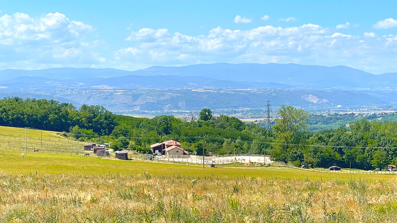 Photos 3 - Equestrian - 15-hectare equestrian estate with gites
