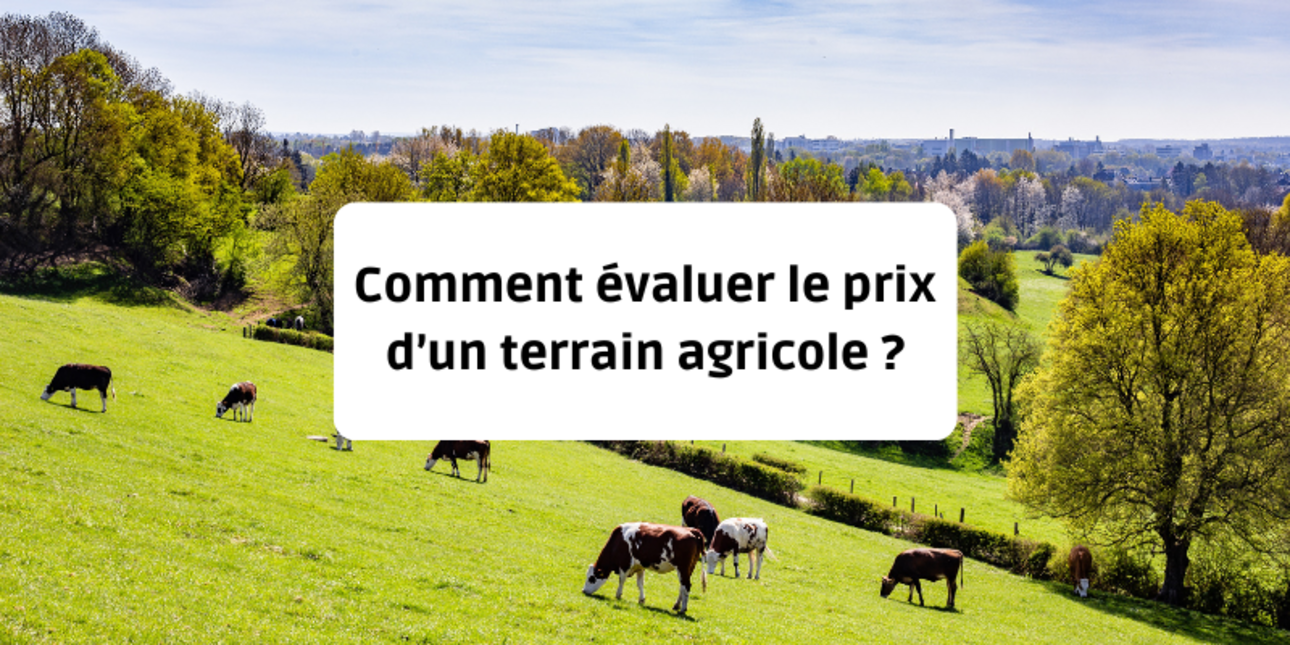 Comment évaluer le prix d’un terrain agricole ?