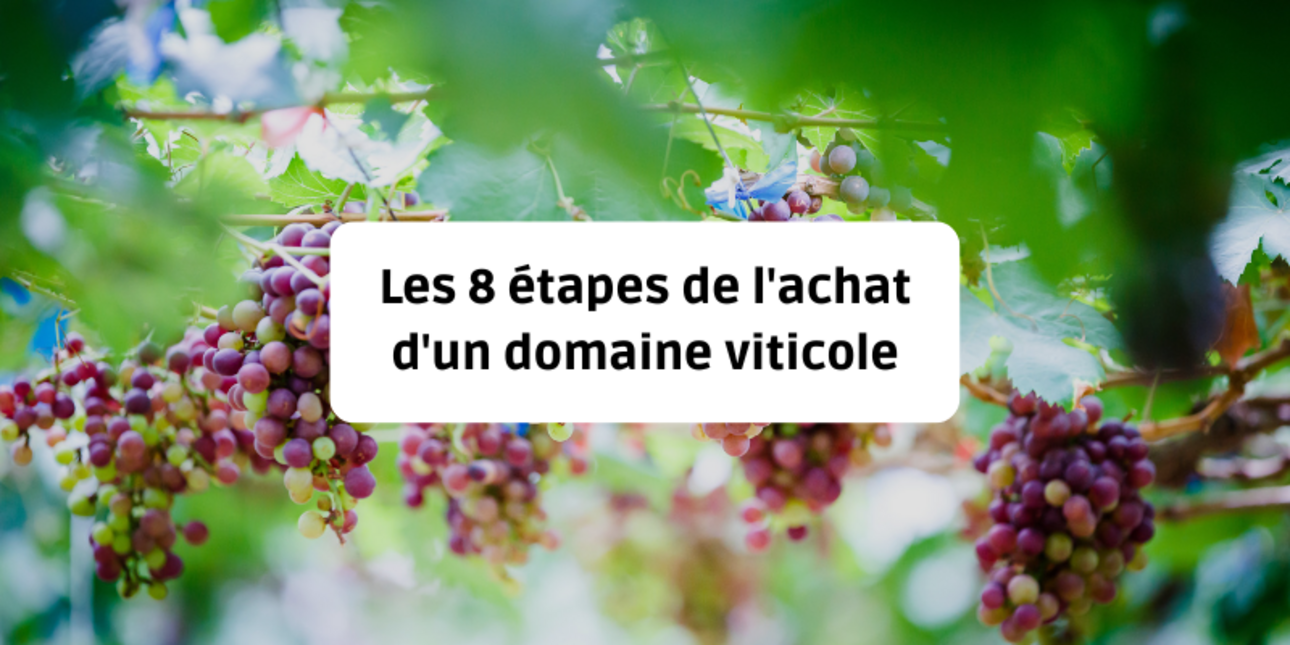 Les 8 étapes de l'achat d'un domaine viticole