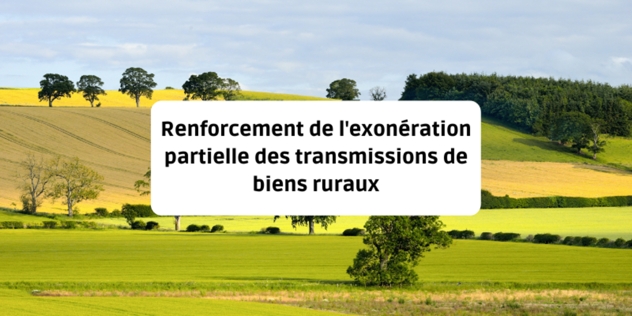 Renforcement de l'exonération partielle des transmissions de biens ruraux