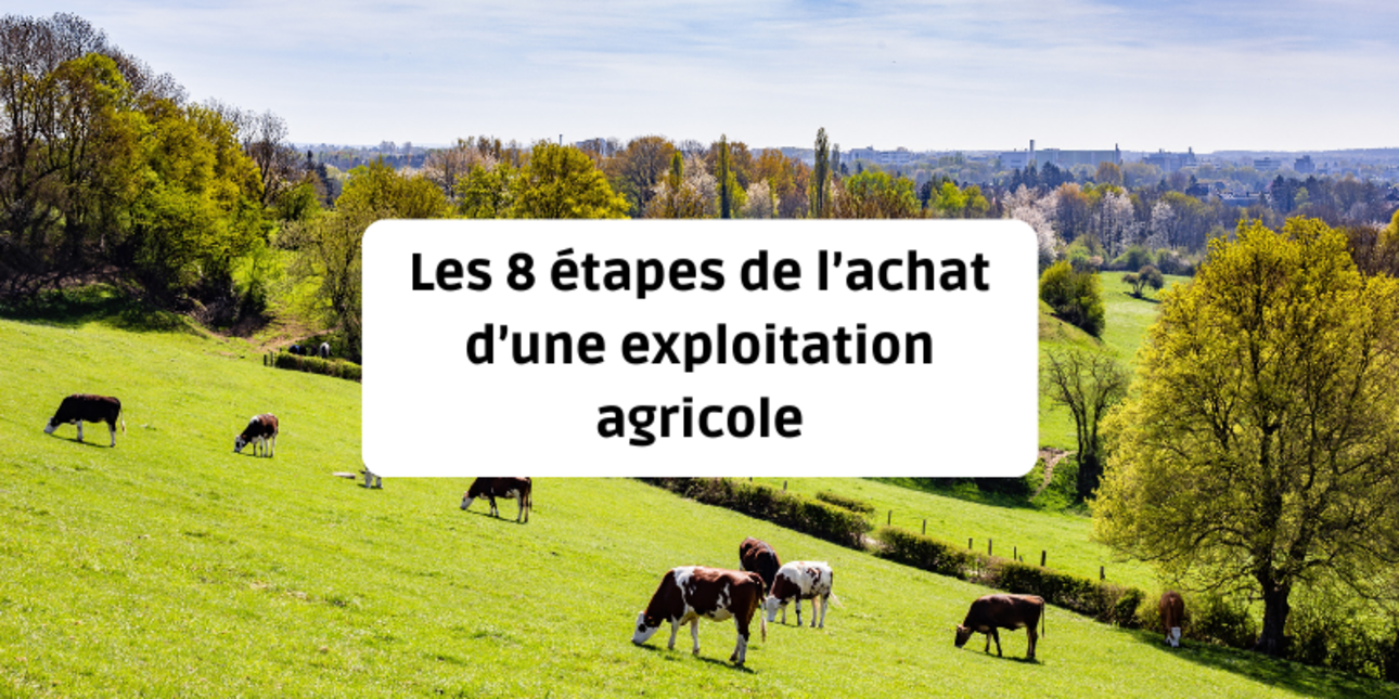 Les 8 étapes de l’achat d’une exploitation agricole