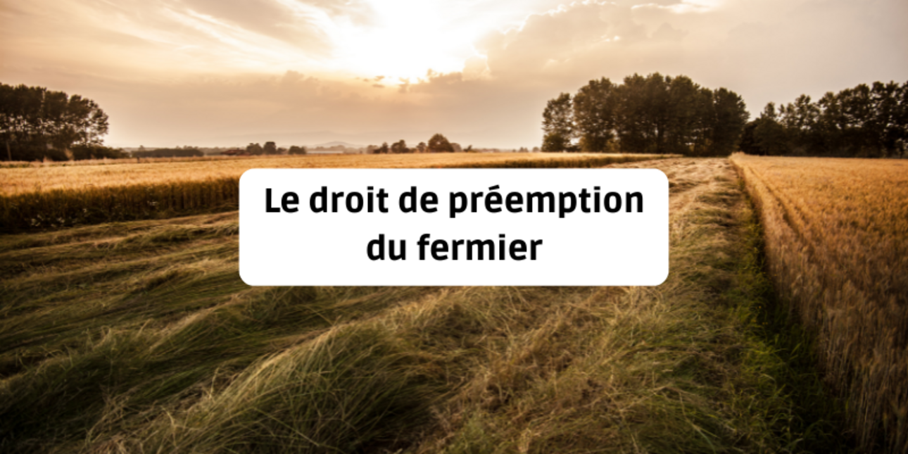 Le droit de préemption du fermier