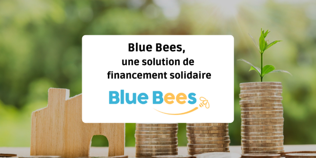 Blue Bees, a solidarity financing solution