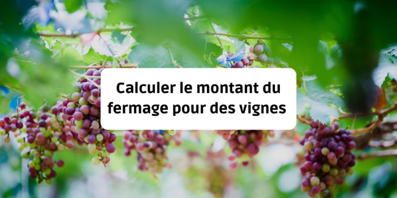 Calculer le montant du fermage pour des vignes ?