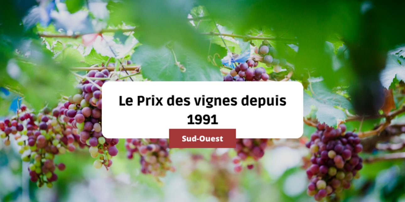 Le Prix des vignes dans le Sud-Ouest depuis 1991