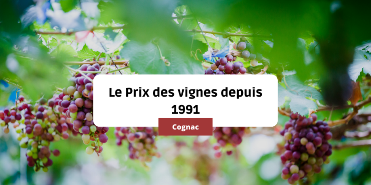 Vineyard prices in Cognac since 1991