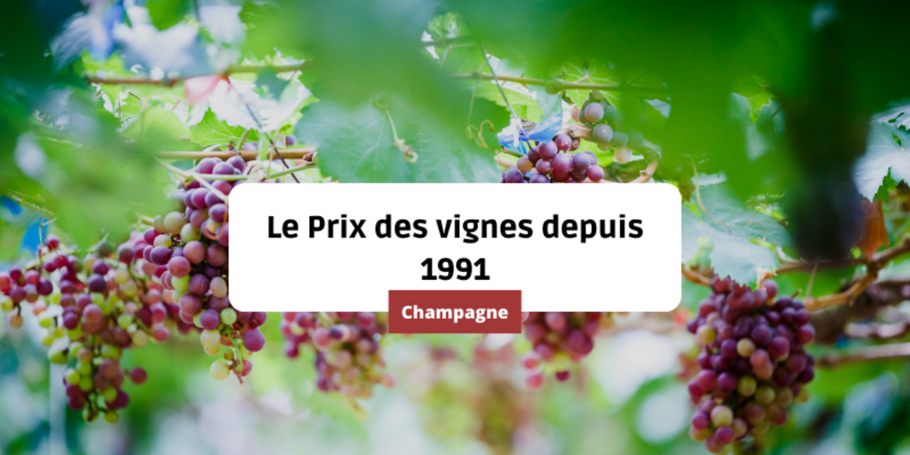The price of vines in Champagne since 1991