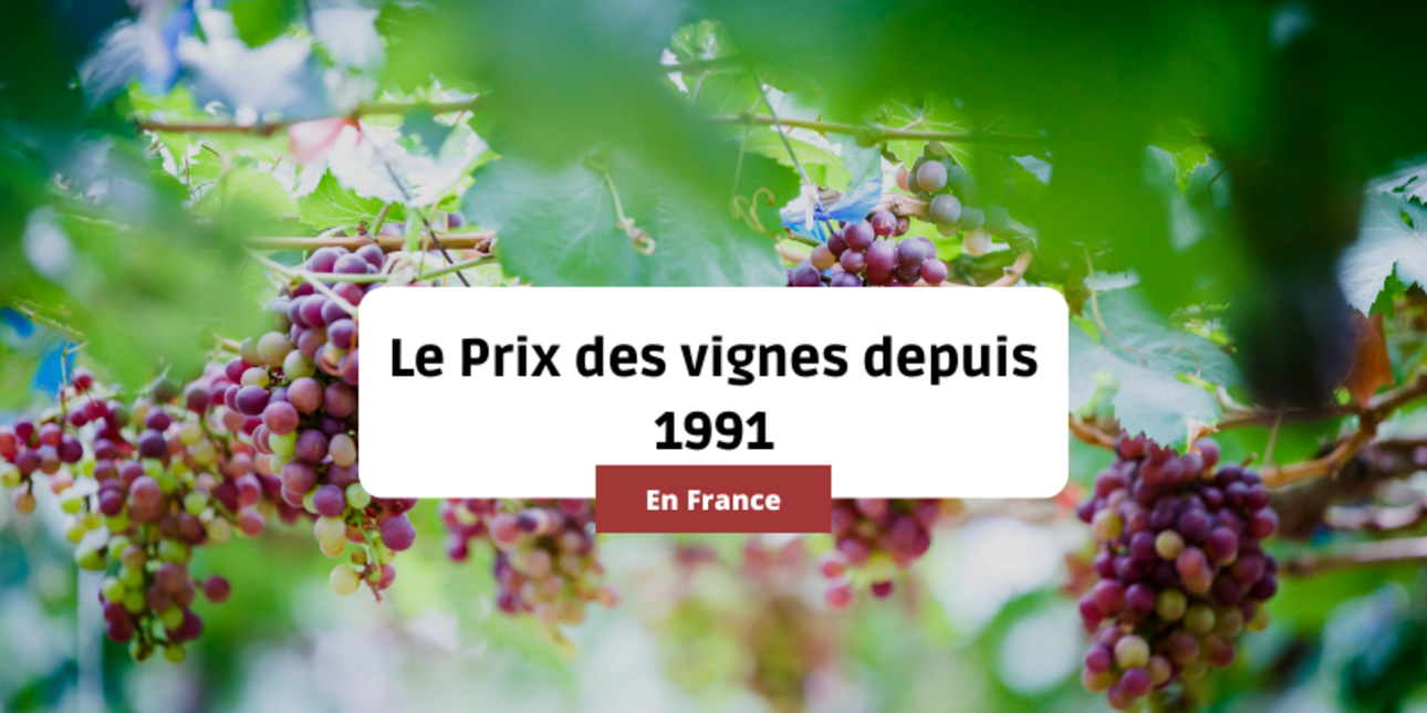 Le Prix des vignes en France depuis 1991