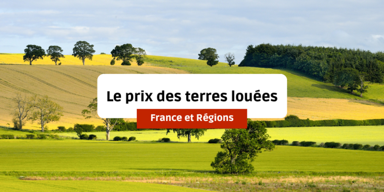 Le prix des terres louées en France depuis 2012