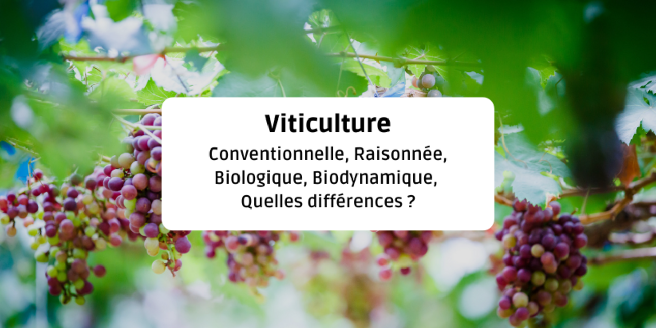 Viticulture : Conventionnelle ? Raisonnée ? Biologique ? Biodynamique ? Quelles sont les différences ?