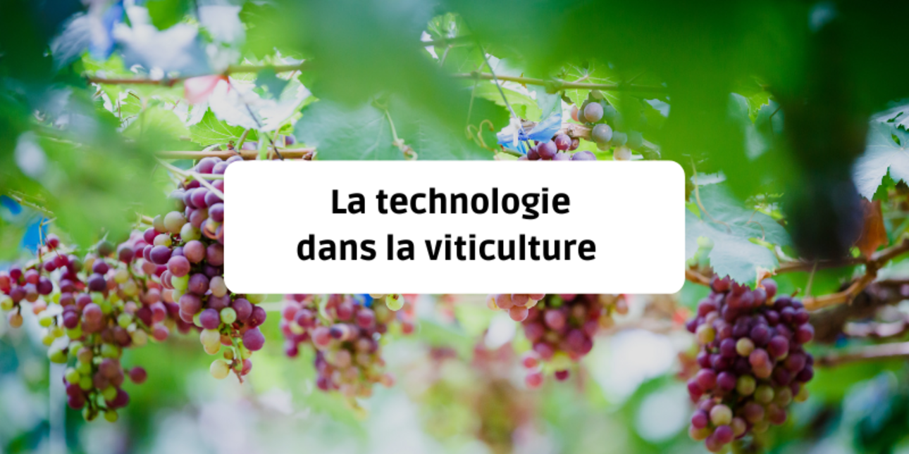 Technology in viticulture