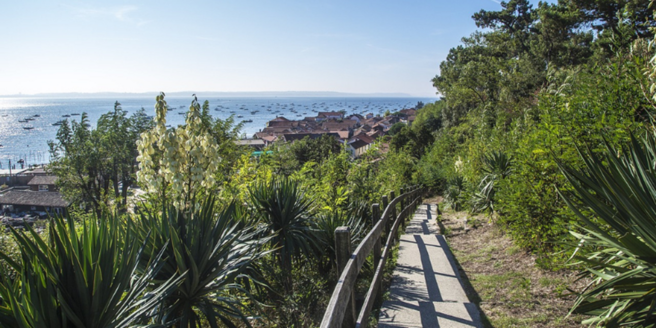 L’immobilier de luxe sur le bassin d’Arcachon : les propriétés de prestige