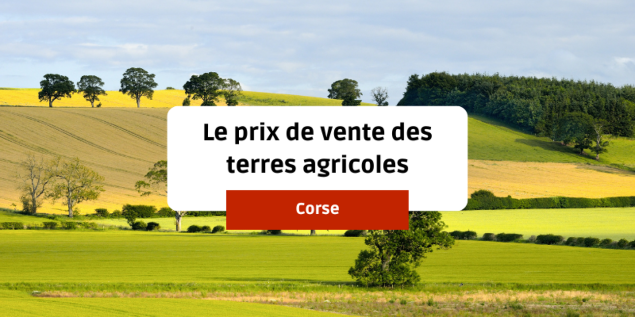 le prix de vente des terres agricoles en Corse