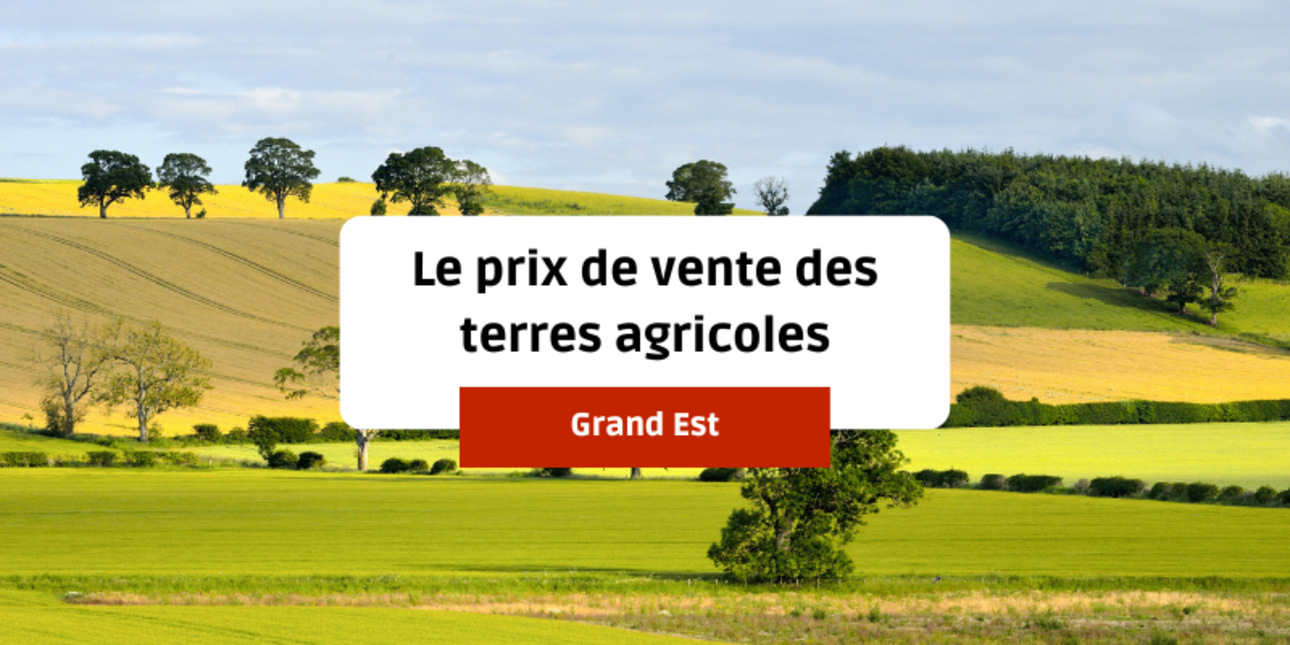 Le prix de vente des terres agricoles en Grand Est