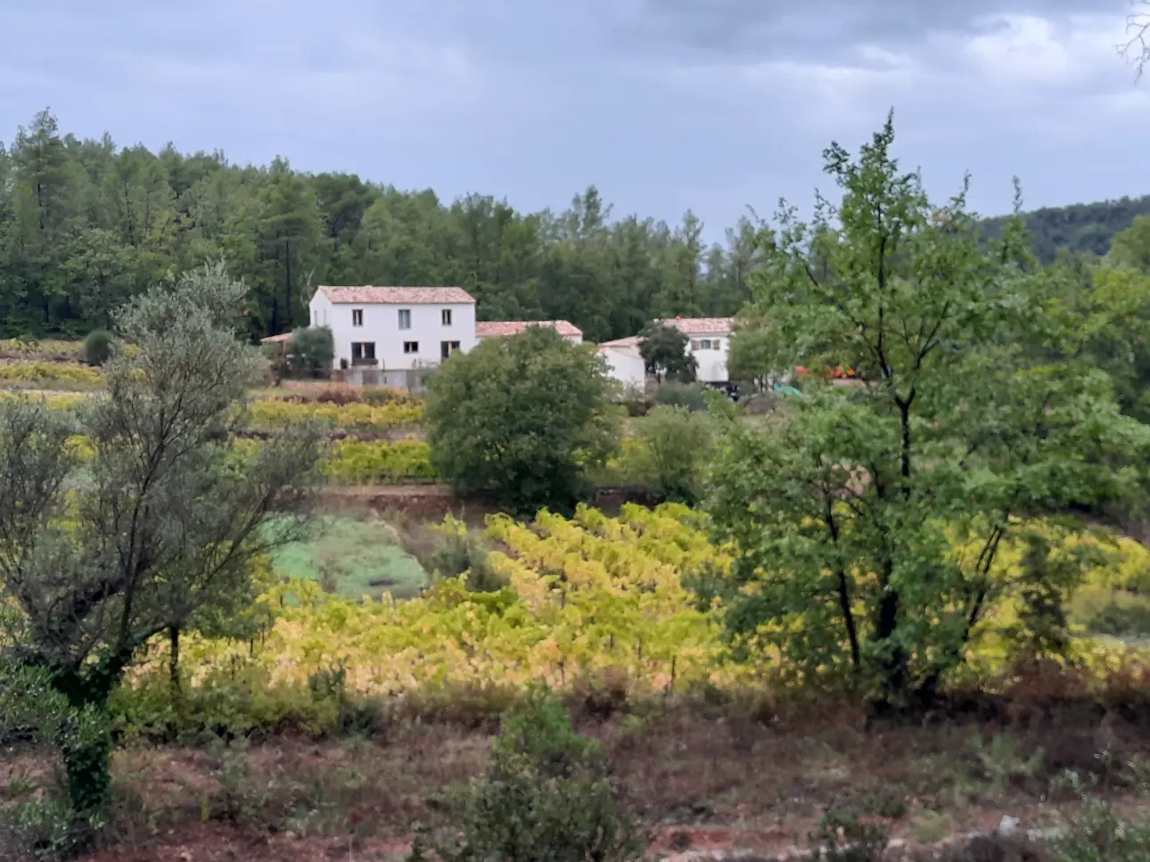 Photos 1 - Viticole - Domaine viticole dans le Var