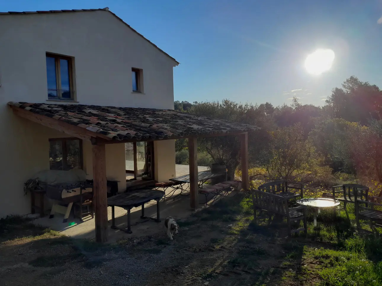 Photos 5 - Viticole - Domaine viticole dans le Var