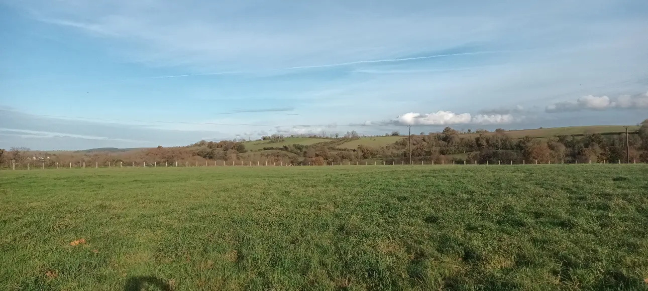 Photos 11 - Equestrian - Lovely equestrian or rural property on 12 acres.