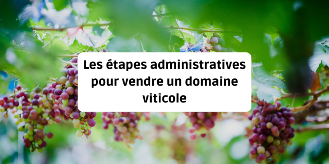 Les étapes administratives pour vendre un domaine viticole